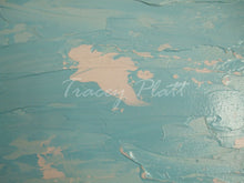 Load image into Gallery viewer, IMPASTO ACRYLICS ON CANVAS - Cornish Beach and Two Gulls