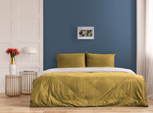 Load image into Gallery viewer, PAIR OF ACRYLICS FLOW ART PULL UP PAINTINGS ON CANVAS IN FRAME - Fireworks