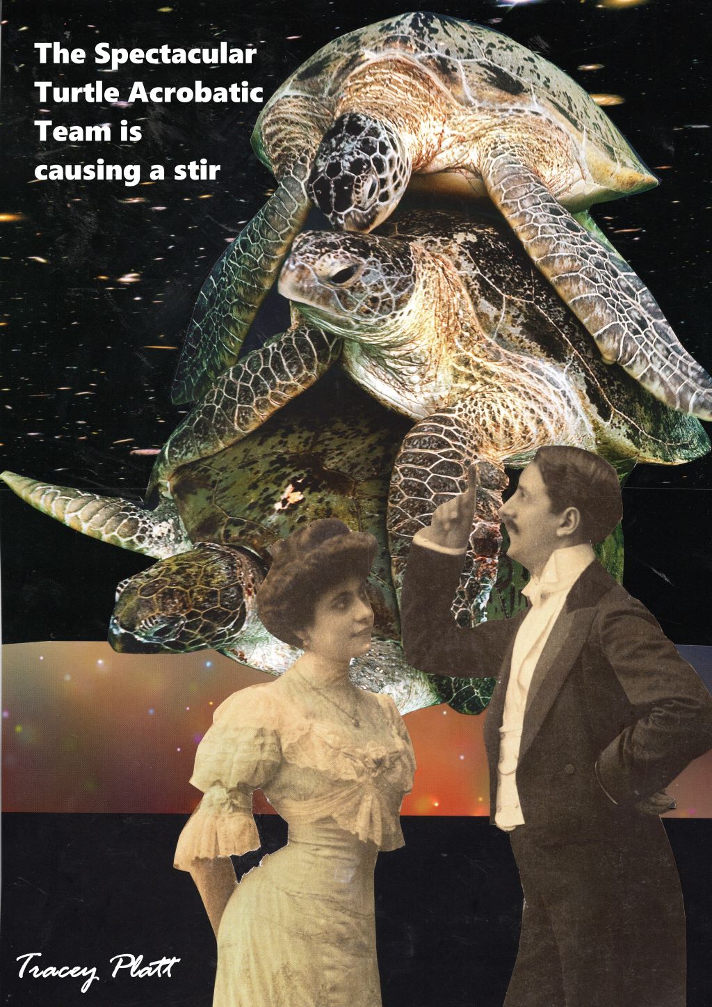 Printed Card - Humorous Surreal Collage - THE SPECTACULAR TURTLE ACROBATIC TEAM IS CAUSING A STIR