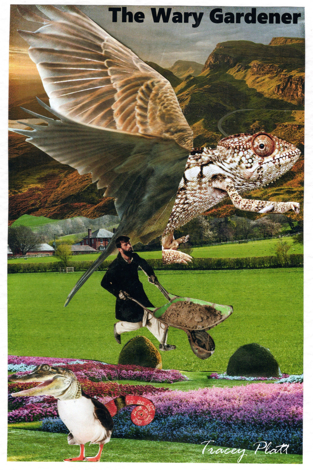 Printed Card - Humorous Surreal Collage - THE WARY GARDENER